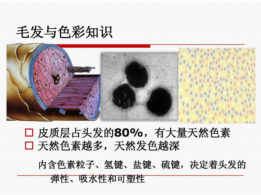 d63.jpg