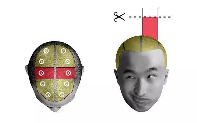 d5.jpg